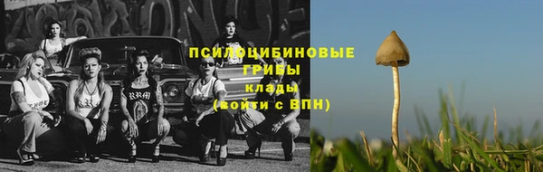 каннабис Горно-Алтайск