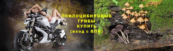 каннабис Горно-Алтайск