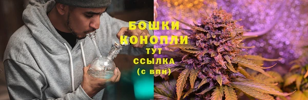 MESCALINE Горнозаводск